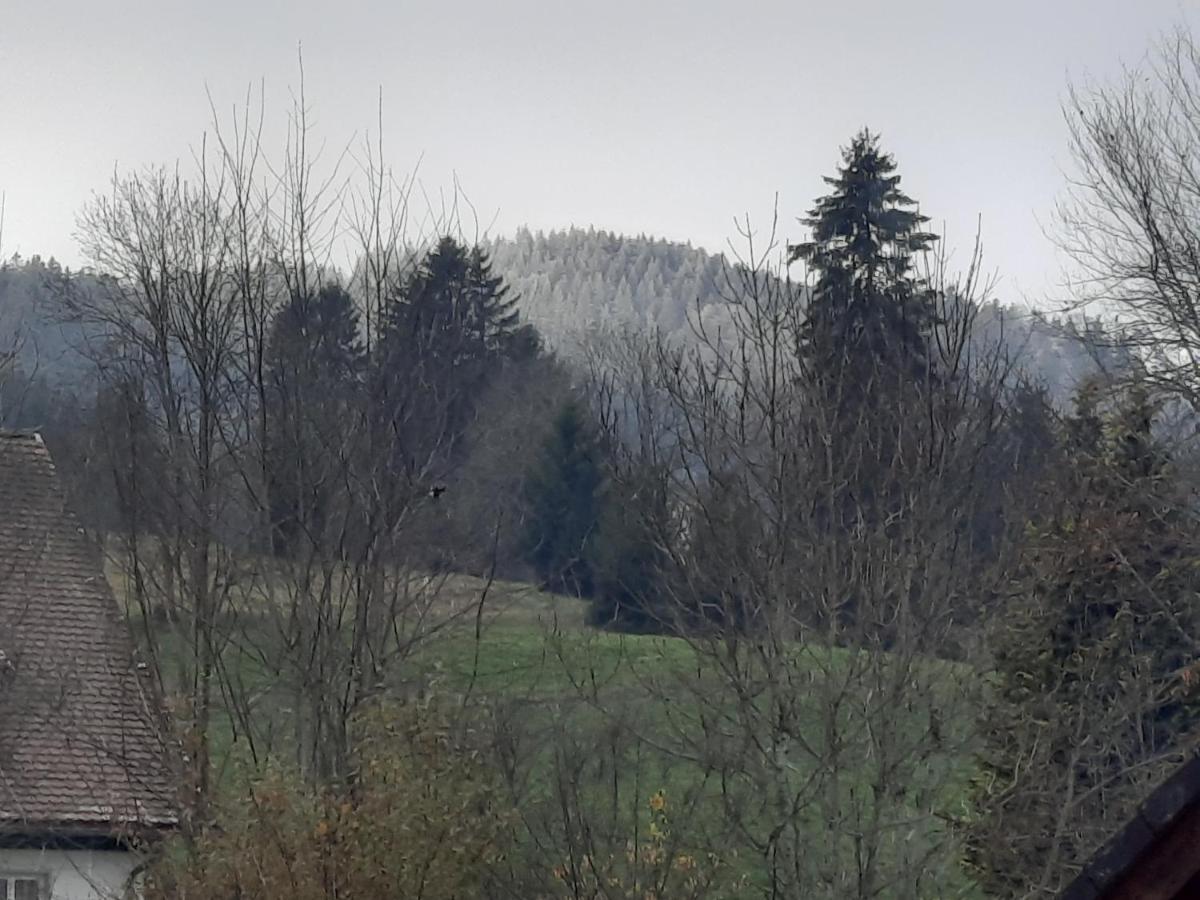 Ferienhaus Ketterer Hinterzarten Dış mekan fotoğraf