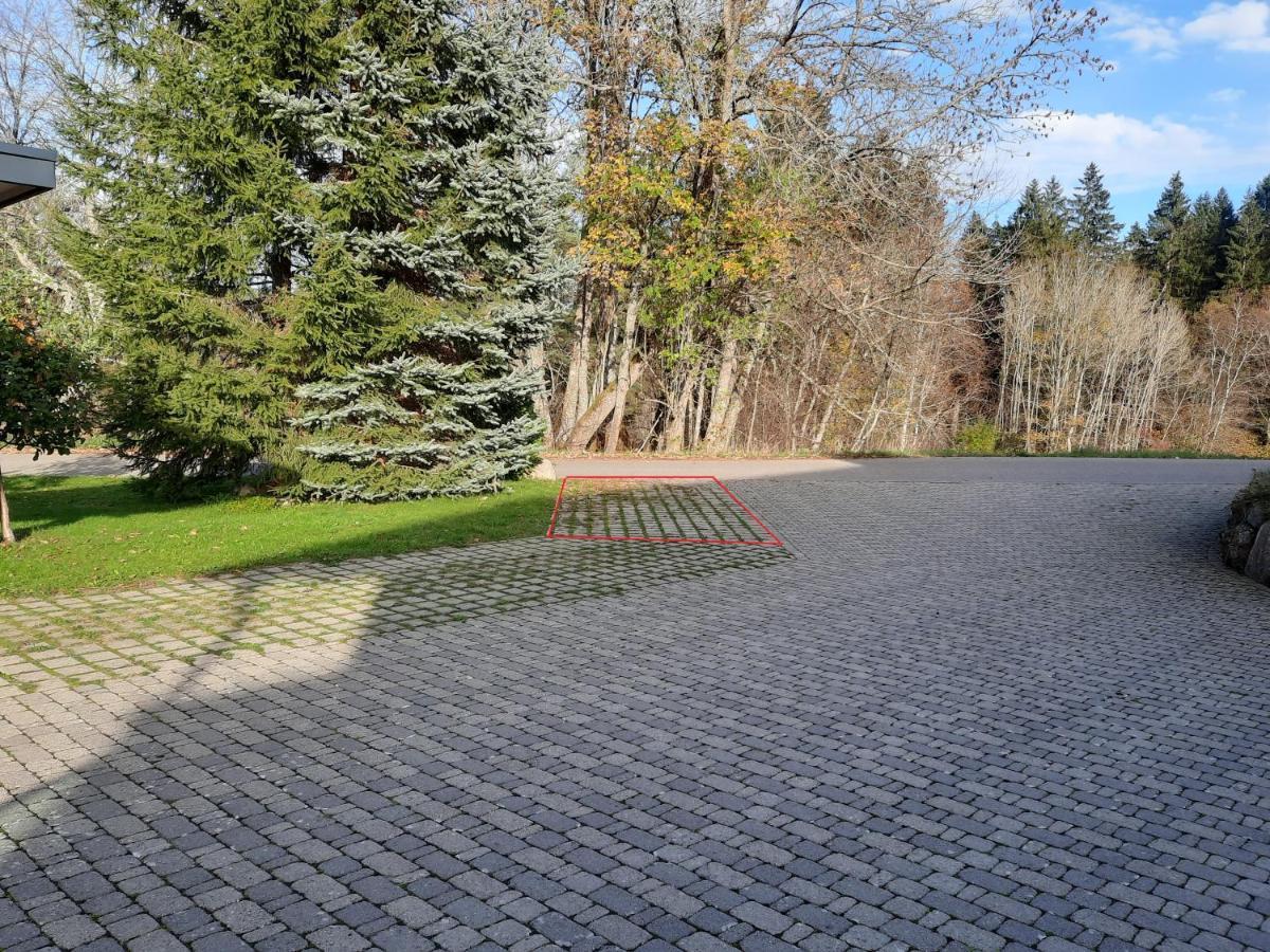 Ferienhaus Ketterer Hinterzarten Dış mekan fotoğraf